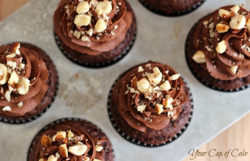 chocolate-hazelnut-cupcake-recipe-1024x661